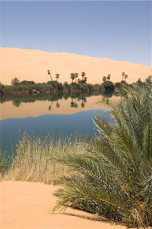 fezzan - Umm El Ma lake, Erg Awbari, Sahara desert, Fezzan, Libya, North Africa, Africa Foto de stock - Con derechos protegidos, Código: 841-03058576