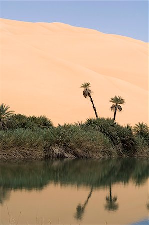 erg ubari - Umm El Ma lake, Erg Awbari, Sahara desert, Fezzan, Libya, North Africa, Africa Stock Photo - Rights-Managed, Code: 841-03058584