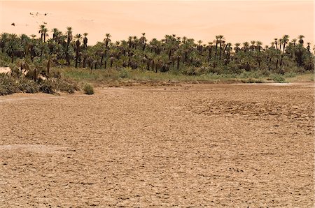 sequía - Mandara lake, Erg Awbari, Sahara desert, Fezzan, Libya, North Africa, Africa Foto de stock - Con derechos protegidos, Código: 841-03058590