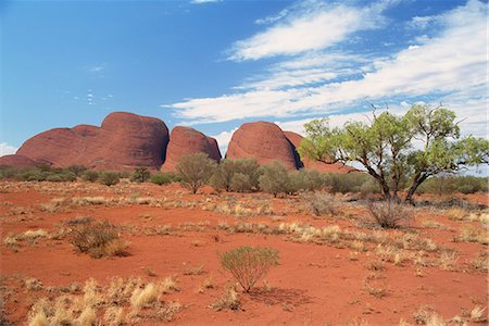 simsearch:841-02832473,k - The Olgas, Uluru-Kata Tjuta National Park, UNESCO World Heritage Site, Northern Territory, Australia, Pacific Foto de stock - Con derechos protegidos, Código: 841-03058642