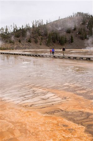 simsearch:841-03058739,k - Lower Geyser Basin, Yellowstone National Park, UNESCO World Heritage Site, Wyoming, United States of America, North America Stock Photo - Rights-Managed, Code: 841-03058744
