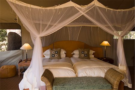 simsearch:862-03437983,k - Kalamu Tented Camp, Parc National de South Luangwa en Zambie, Afrique Photographie de stock - Rights-Managed, Code: 841-03058806