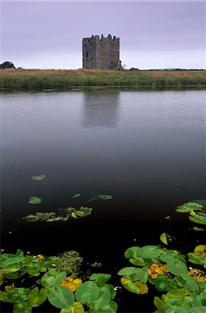 river dee - Threave Castle, fortress of the Douglas family dating from the 14th century, on an island of the Dee river, near Castle Douglas, Dumfries & Galloway, Scotland, United Kingdom, Europe Fotografie stock - Rights-Managed, Codice: 841-03064088