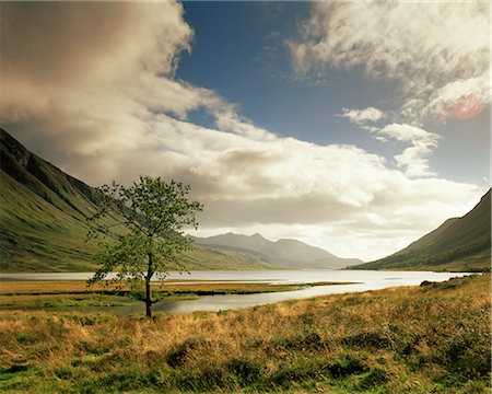 Loch Etive and lone tree, Highlands, Scotland, United Kingdom, Europe Fotografie stock - Rights-Managed, Codice: 841-03064128