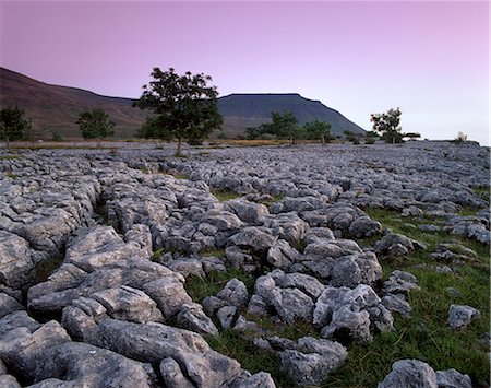 simsearch:841-03517026,k - Limestone pavements near Chapel-le-Dale, Yorkshire Dales, National Park, Yorkshire, England, United Kingdom, Europe Stock Photo - Rights-Managed, Code: 841-03064164