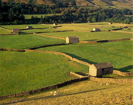 swaledale - Champs clos et granges près de Gunnister, Swaledale, Parc National de Yorkshire Dales, Yorkshire, Angleterre, Royaume-Uni, Europe Photographie de stock - Rights-Managed, Code: 841-03064161