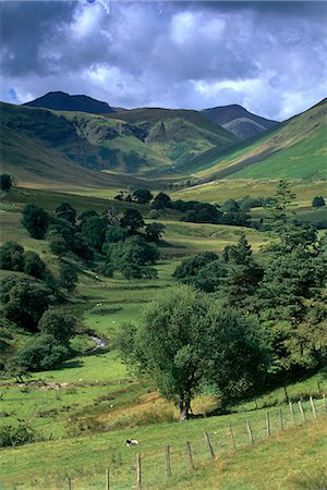 simsearch:841-03061153,k - Keskadale et Derwent Fells près de Keswick, Parc National de Lake District, Cumbria, Angleterre, Royaume-Uni, Europe Photographie de stock - Rights-Managed, Code: 841-03064193