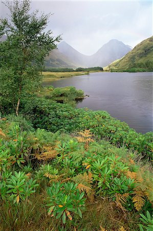 Buachaille Etive Beag et Buachaille Etive Mor, sentinelles du Glen Etive, Highlands, Ecosse, Royaume-Uni, Europe Photographie de stock - Rights-Managed, Code: 841-03064236