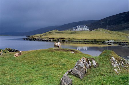 shetland islands - Hogaland, Whiteness, Mainland, Shetland Islands, Scotland, United Kingdom, Europe Stock Photo - Rights-Managed, Code: 841-03064264