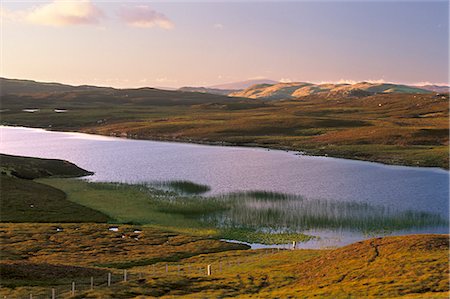 simsearch:841-03064742,k - ULMA eau continentale Ouest, îles Shetland, Ecosse, Royaume-Uni, Europe Photographie de stock - Rights-Managed, Code: 841-03064275