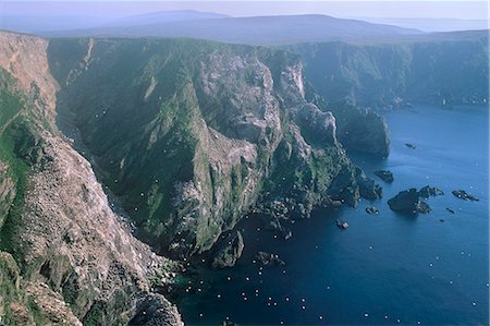 simsearch:841-02946244,k - Cliffs of Hermaness National Nature Reserve, large gannetry at Saito, Unst, Shetland Islands, Scotland, United Kingdom, Europe Stock Photo - Rights-Managed, Code: 841-03064346