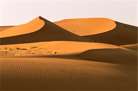 sossusvlei - Red sand dunes, up to 300m, Sossusvlei, Namib-Naukluft Desert Park, Namibia, Africa Fotografie stock - Rights-Managed, Codice: 841-03064380