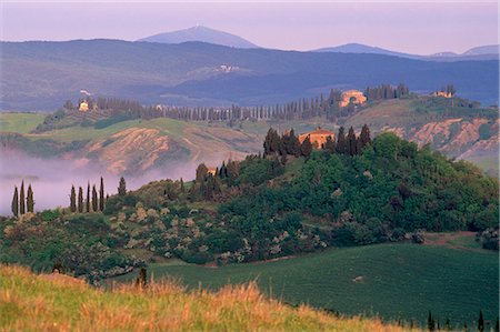 Landscape of the Crete Senesi area, southeast of Siena, near Asciano, Tuscany, Italy, Europe Fotografie stock - Rights-Managed, Codice: 841-03064402