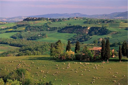 Landscape of the Crete Senesi area, southeast of Siena, near Asciano, Tuscany, Italy, Europe Fotografie stock - Rights-Managed, Codice: 841-03064403