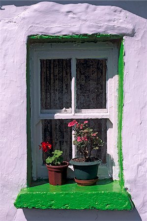 european geraniums - Green window in traditional house, Cashel, County Tipperary, Munster, Republic of Ireland, Europe Stock Photo - Rights-Managed, Code: 841-03064461