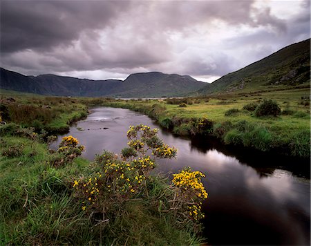 River Caragh, near Boheeshil, Iveragh Peninsula, Ring of Kerry, County Kerry, Munster, Republic of Ireland, Europe Foto de stock - Con derechos protegidos, Código: 841-03064491