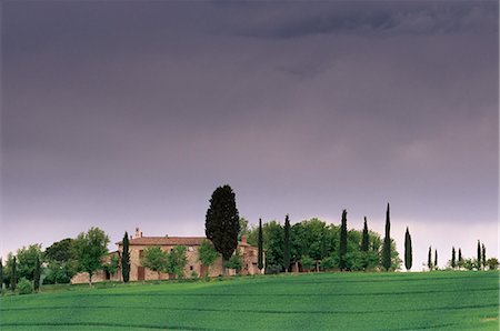 simsearch:841-02917967,k - La ferme et des cyprès centenaires, près de Pienza, Toscane, Italie, Europe Photographie de stock - Rights-Managed, Code: 841-03064541