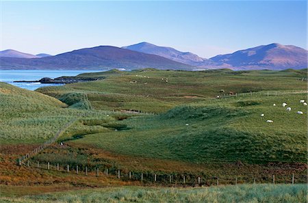 simsearch:841-03064690,k - Dunes and machair, South Harris, Outer Hebrides, Scotland, United Kingdom, Europe Foto de stock - Con derechos protegidos, Código: 841-03064562