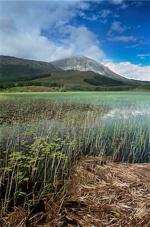 simsearch:841-03064736,k - Loch Cill Chriosd et Beinn na Caillich, 732 m, Isle of Skye, Hébrides intérieures en Écosse, Royaume-Uni, Europe Photographie de stock - Rights-Managed, Code: 841-03064672