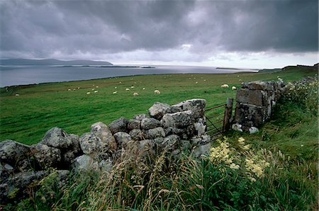 simsearch:841-03064736,k - Loch Bay et des îles, près de Stein, péninsule de Waternish au nord-ouest, l'île de Skye, Hébrides intérieures en Écosse, Royaume-Uni, Europe Photographie de stock - Rights-Managed, Code: 841-03064741
