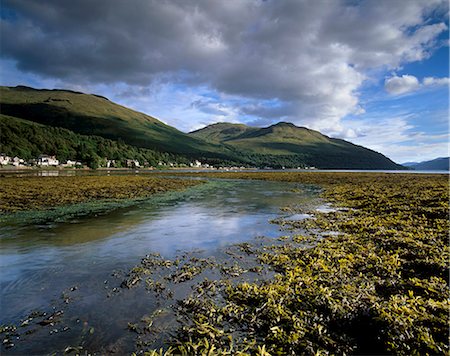 simsearch:841-03064736,k - Village de Arrochar et le Loch Long, Argyll and Bute, Écosse, Royaume-Uni, Europe Photographie de stock - Rights-Managed, Code: 841-03064782