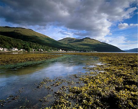 simsearch:841-03061198,k - Village of Arrochar and Loch Long, Argyll and Bute, Scotland, United Kingdom, Europe Foto de stock - Con derechos protegidos, Código: 841-03064782