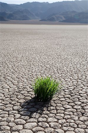 sequía - The Racetrack Point, Death Valley National Park, California, United States of America, North America Foto de stock - Con derechos protegidos, Código: 841-03064934