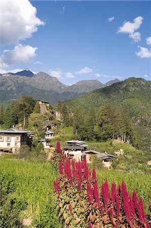 Village de Drukgyel, Bhoutan, Asie Photographie de stock - Rights-Managed, Code: 841-03065185