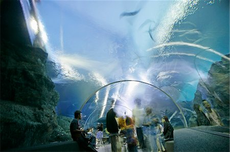 simsearch:841-02705282,k - Ocean World, Siam Paragon shopping mall, Bangkok, Thailand, Southeast Asia, Asia Stock Photo - Rights-Managed, Code: 841-03065423