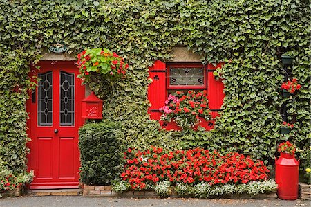 Ivy couverts cottage, ville de Borris, comté de Carlow, Leinster, Irlande, Europe Photographie de stock - Rights-Managed, Code: 841-03065790