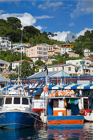 Fishing boats in Carenage Harbour, St. George's, Grenada, Windward Islands, Lesser Antilles, West Indies, Caribbean, Central America Stock Photo - Rights-Managed, Code: 841-03066106