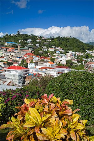 simsearch:841-03066022,k - De Saint-Georges, Grenade, îles sous-le-vent, Lesser Antilles, Antilles, Caraïbes, Amérique centrale Photographie de stock - Rights-Managed, Code: 841-03066103