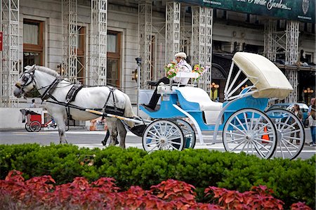 Horse carriage, Central Park, New York City, New York, United States of America, North America Stock Photo - Rights-Managed, Code: 841-03066350