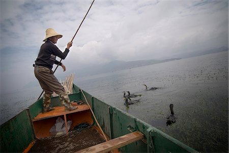 Cormorant fisherman with his birds, Erhai Lake, Dali, Yunnan, China, Asia Foto de stock - Con derechos protegidos, Código: 841-03066834