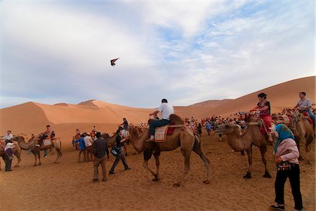 Camel trekking, Whistling Dune, desert, Dunhuang, Gansu, China, Asia Stock Photo - Rights-Managed, Code: 841-03066838