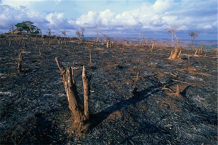 The aftermath of traditional slash and burn on hilltop near Kuta, south coast, Lombok, Indonesia, Southeast Asia, Asia Stock Photo - Rights-Managed, Code: 841-03067293