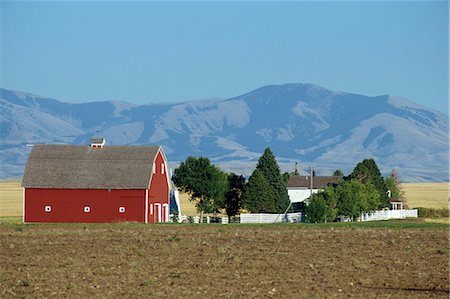 red barn in field - Farm with large barn, on the prairie, with mountains behind, Cascade County, Montana, United States of America, North America Stock Photo - Rights-Managed, Code: 841-03067446