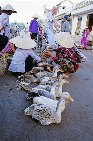 simsearch:841-02925360,k - Canards avec leurs pieds attachés à vendre dans le secteur du marché, Hoi An, Vietnam, Indochine, l'Asie du sud-est, Asie Photographie de stock - Rights-Managed, Code: 841-03067515