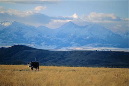 simsearch:6119-08267906,k - Looking west towards the Rocky Mountains from Big Timber, Sweet Grass County, southern Montana, Montana, United States of America, North America Stock Photo - Rights-Managed, Code: 841-03067614