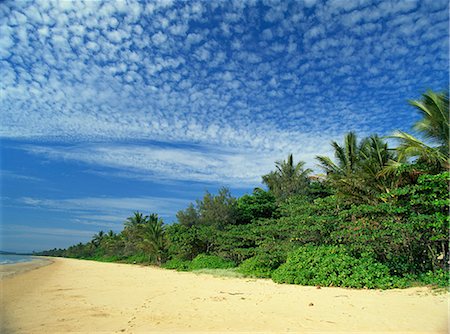 simsearch:841-06806088,k - Popular Mission Beach on the northeast coast, east of Tully, Queensland, Australia, Pacific Foto de stock - Con derechos protegidos, Código: 841-03067678