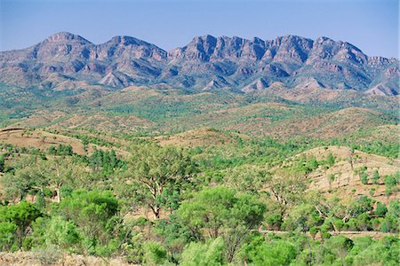 simsearch:841-02706898,k - Regardant vers l'escarpement oriental de Wilpena Pound, un immense bassin naturel, dans le Parc National des Flinders Ranges, Australie-méridionale, Australie Photographie de stock - Rights-Managed, Code: 841-03067728