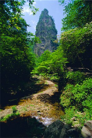 simsearch:6119-08267921,k - Les affleurements calcaires spectaculaires et vallées boisées du parc forestier de Zhangjiajie dans la région pittoresque de Wulingyuan, Province de Hunan, Chine Photographie de stock - Rights-Managed, Code: 841-03067772