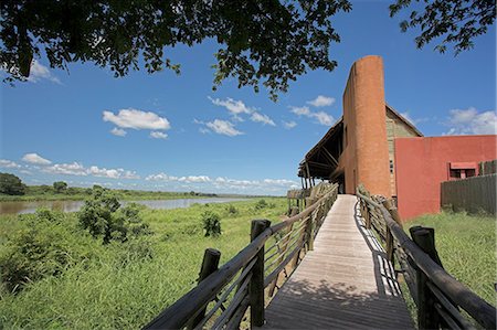 parc national kruger - Sabie inférieur restcamp, Kruger National Park, Afrique du Sud, Afrique Photographie de stock - Rights-Managed, Code: 841-03060920