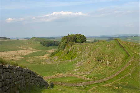 simsearch:841-02944394,k - Cuddy Crags to east near Housesteads Fort, Hadrian's Wall, UNESCO World Heritage Site, Northumberland, England, United Kingdom, Europe Foto de stock - Con derechos protegidos, Código: 841-03061010