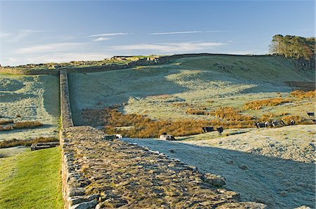 Hadrians Wall and Housesteads Roman Fort, UNESCO World Heritage Site, Northumbria, England, United Kingdom, Europe Foto de stock - Con derechos protegidos, Código: 841-03061137