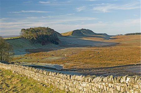 Vers l'ouest à Housesteads Wood et Crag, Cuddy et Hotbank Crags, mur d'Hadrien, patrimoine mondial de l'UNESCO, Northumbria, Angleterre, Royaume-Uni, Europe Photographie de stock - Rights-Managed, Code: 841-03061138