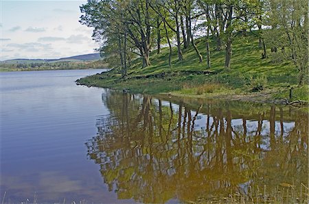 simsearch:841-03061198,k - A wooded corner of Lock Ken, Dumfries and Galloway, Scotland, United Kingdom, Europe Foto de stock - Con derechos protegidos, Código: 841-03061198