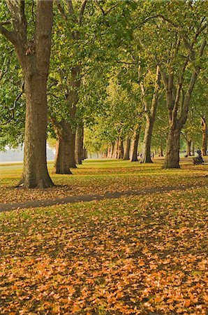 simsearch:841-03055557,k - Autumn, Hyde Park, London, England, United Kingdom, Europe Foto de stock - Con derechos protegidos, Código: 841-03061354