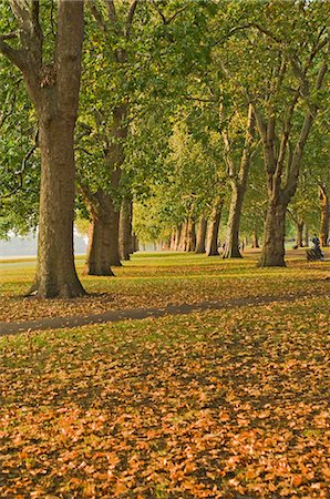 Automne, Hyde Park, Londres, Royaume-Uni, Europe Photographie de stock - Rights-Managed, Code: 841-03061354