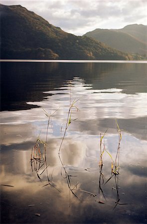 simsearch:841-02943883,k - Lake Ullswater, Parc National de Lake District, Cumbria, Angleterre, Royaume-Uni, Europe Photographie de stock - Rights-Managed, Code: 841-03061457